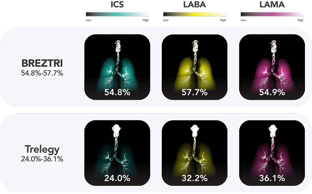 BREZTRI Vs Trelegy Lung Deposition Comparison In Large and Small Airways